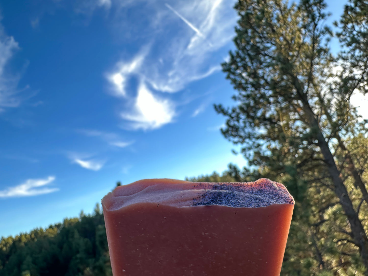 Cinnamon Bark