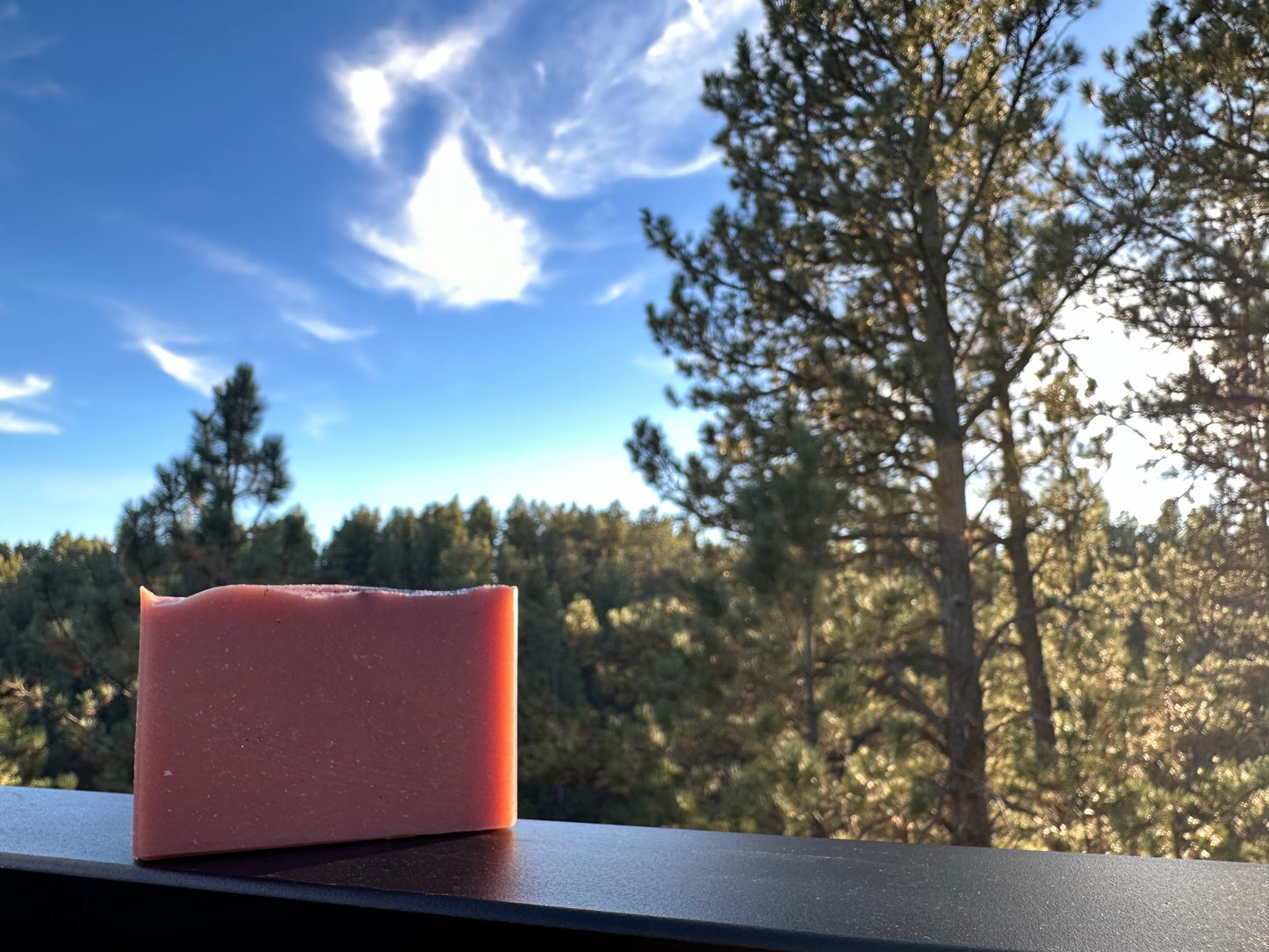 Cinnamon Bark