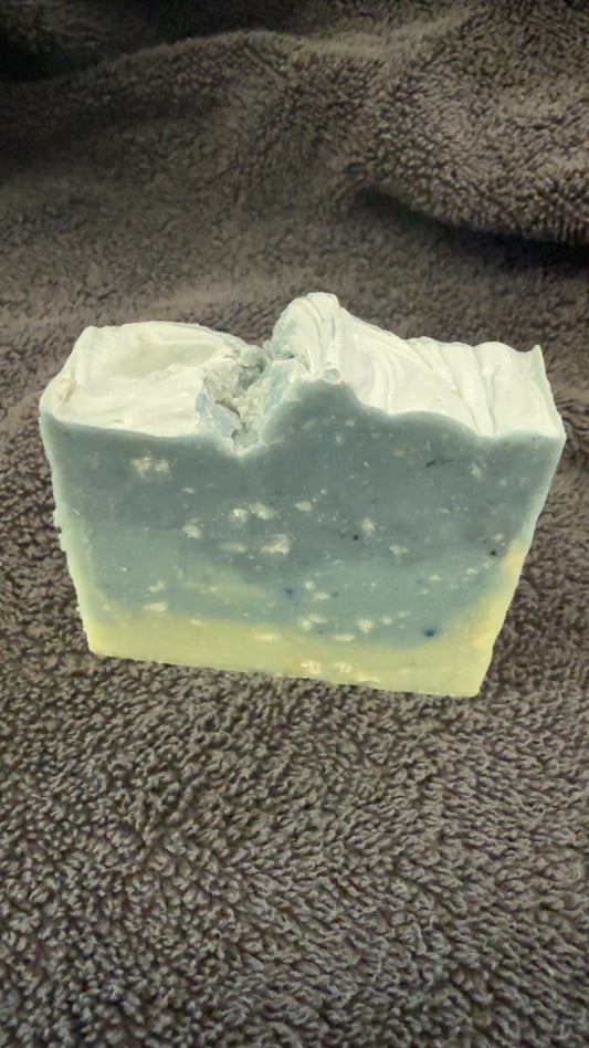 Cactus and Sea Salt